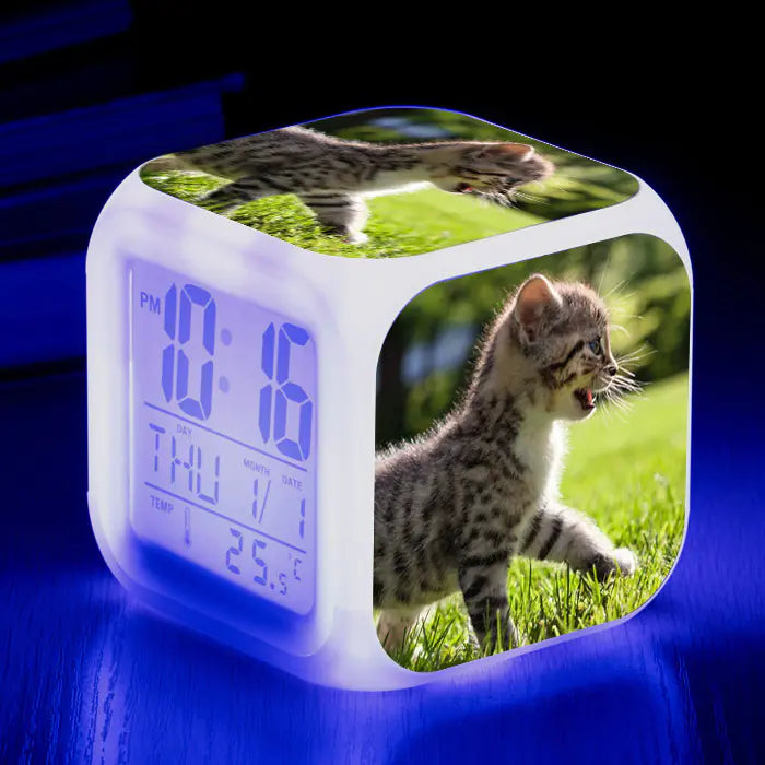 Cute Animal Cat-themed Colorful Square Alarm Clock