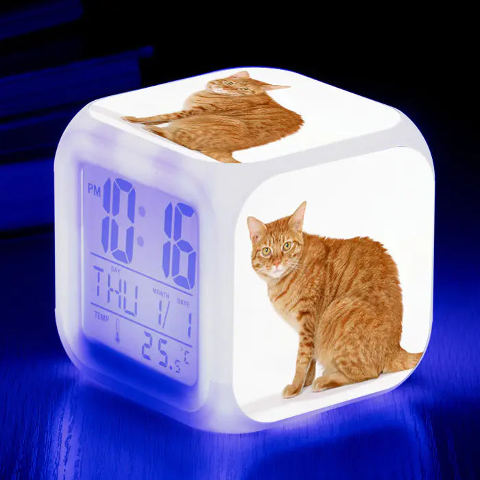 Cute Animal Cat-themed Colorful Square Alarm Clock