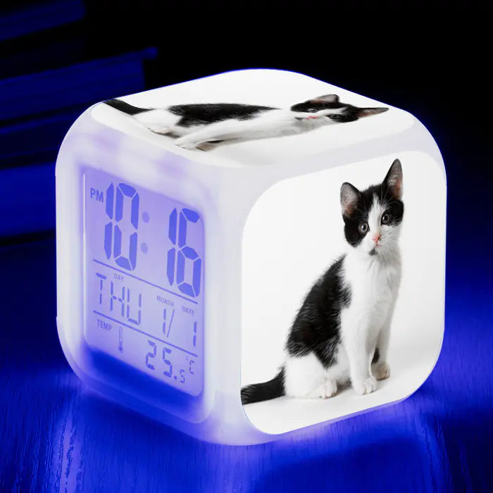 Cute Animal Cat-themed Colorful Square Alarm Clock
