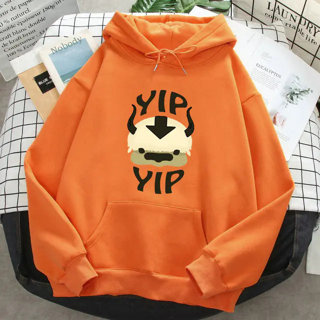 Appa Sweater from AliExpress