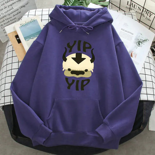Appa Sweater from AliExpress