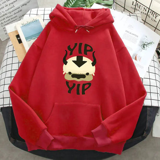 Appa Sweater from AliExpress
